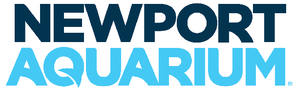 Newport Aquarium
